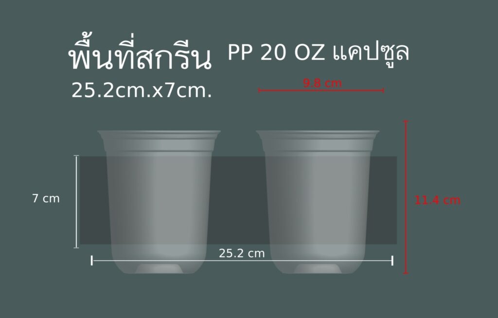 PP-20-CAP